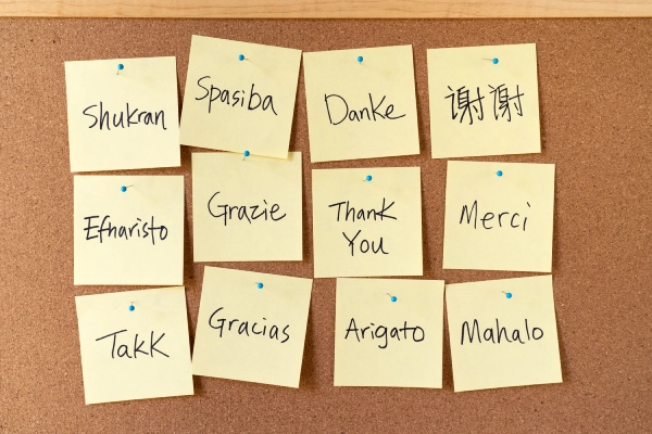 Multi-Language Support